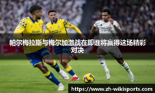 帕尔梅拉斯与梅尔加激战在即谁将赢得这场精彩对决